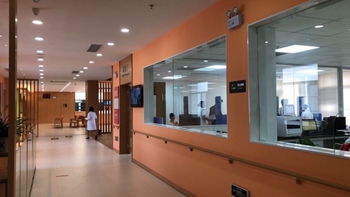 廣東海外建設咨詢 以技術驅動，點亮“一帶一路”工程新篇章